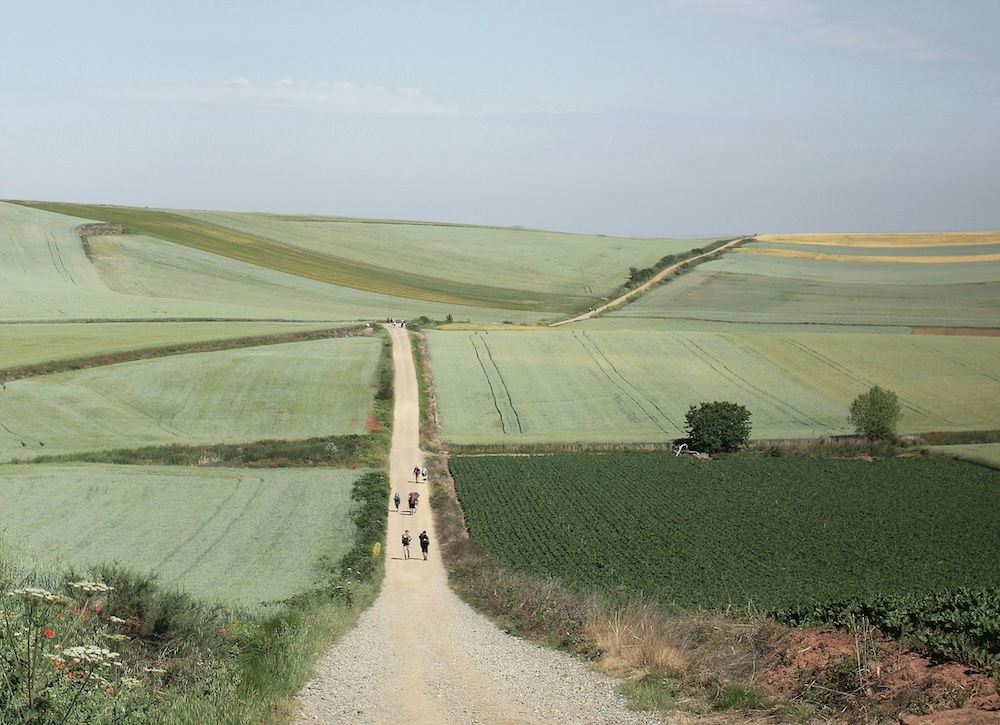 The Insider Guide to Spain's Camino